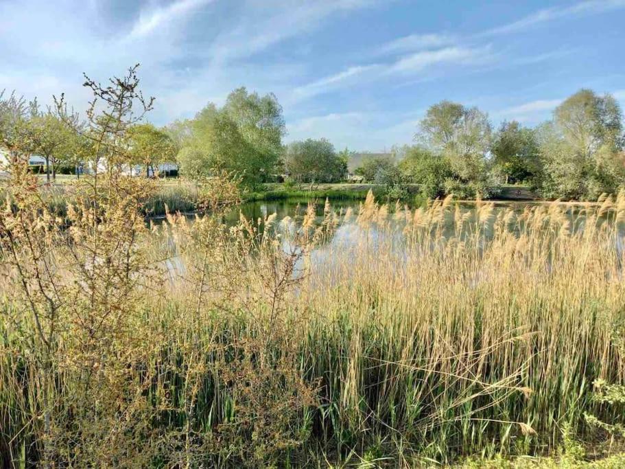 Le Domaine Reserve , Parking Et Ecrin De Verdure 阿棉 外观 照片